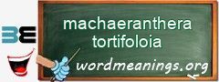 WordMeaning blackboard for machaeranthera tortifoloia